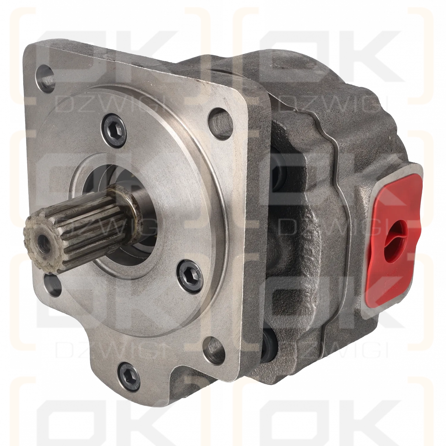 Hydraulische Zahnradpumpe R5063 63 cm3/U